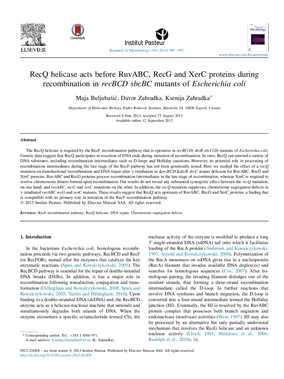 RecQ helicase acts before RuvABC, RecG and XerC proteins during recombination in recBCD sbcBC mutants of Escherichia coli