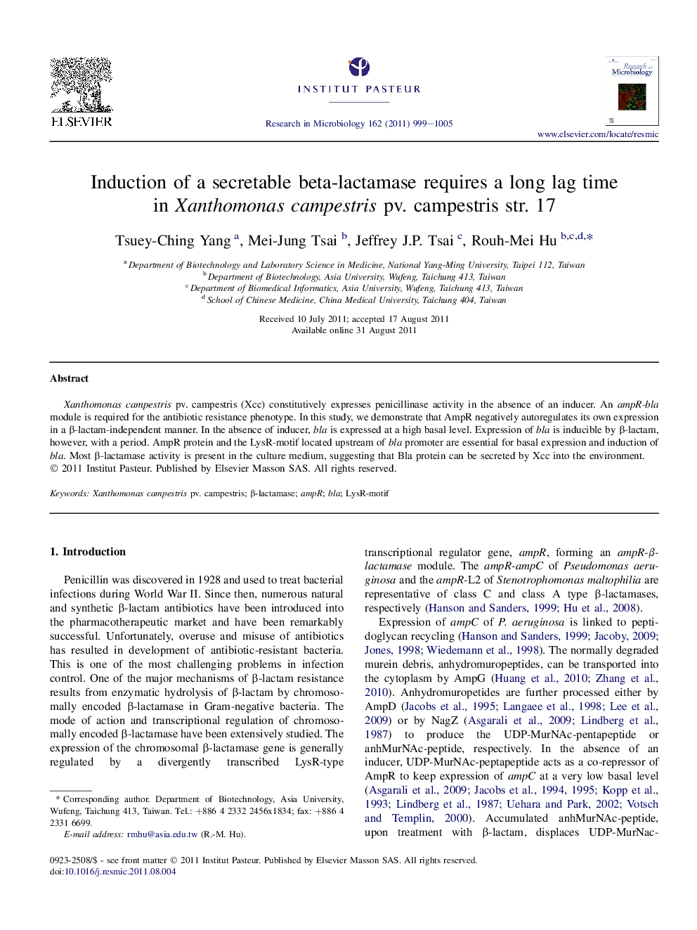 Induction of a secretable beta-lactamase requires a long lag time in Xanthomonas campestris pv. campestris str. 17