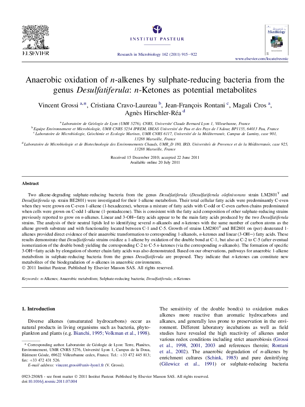 Anaerobic oxidation of n-alkenes by sulphate-reducing bacteria from the genus Desulfatiferula: n-Ketones as potential metabolites