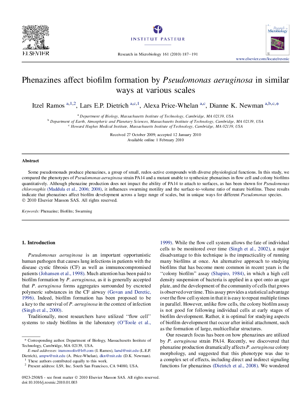 Phenazines affect biofilm formation by Pseudomonas aeruginosa in similar ways at various scales