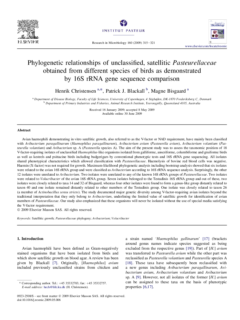 Phylogenetic relationships of unclassified, satellitic Pasteurellaceae obtained from different species of birds as demonstrated by 16S rRNA gene sequence comparison