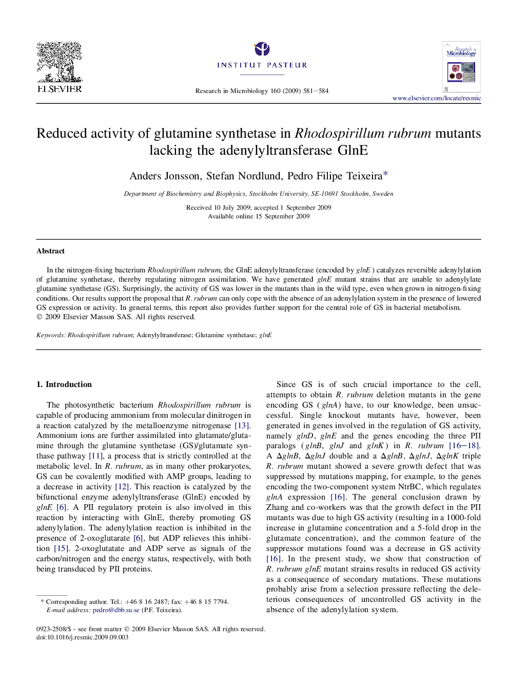 Reduced activity of glutamine synthetase in Rhodospirillum rubrum mutants lacking the adenylyltransferase GlnE