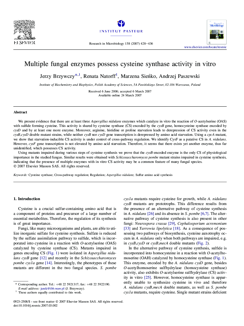 Multiple fungal enzymes possess cysteine synthase activity in vitro