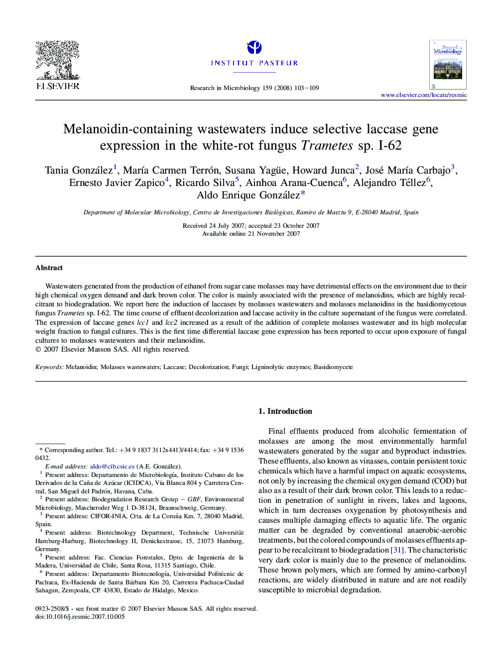 Melanoidin-containing wastewaters induce selective laccase gene expression in the white-rot fungus Trametes sp. I-62