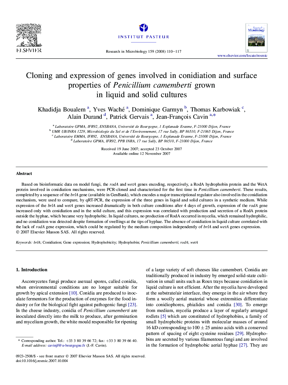 Cloning and expression of genes involved in conidiation and surface properties of Penicillium camemberti grown in liquid and solid cultures