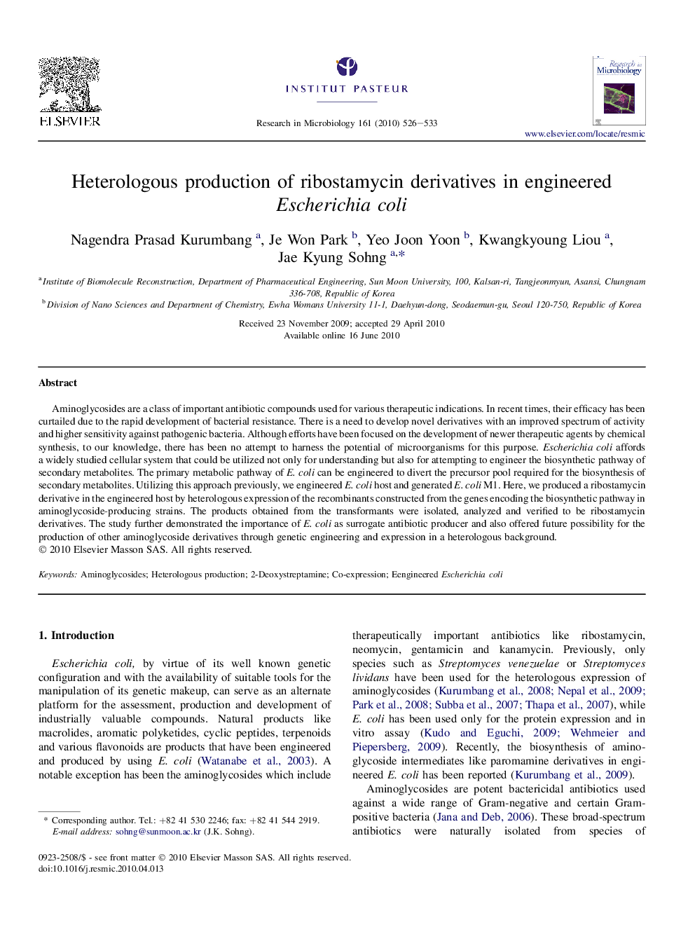 Heterologous production of ribostamycin derivatives in engineered Escherichia coli