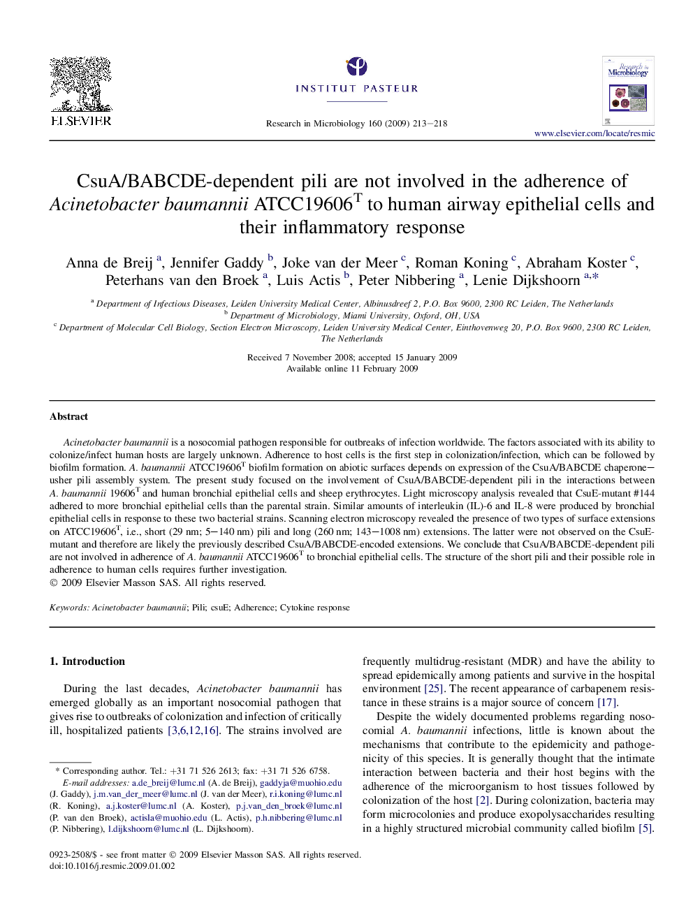 CsuA/BABCDE-dependent pili are not involved in the adherence of Acinetobacter baumannii ATCC19606T to human airway epithelial cells and their inflammatory response