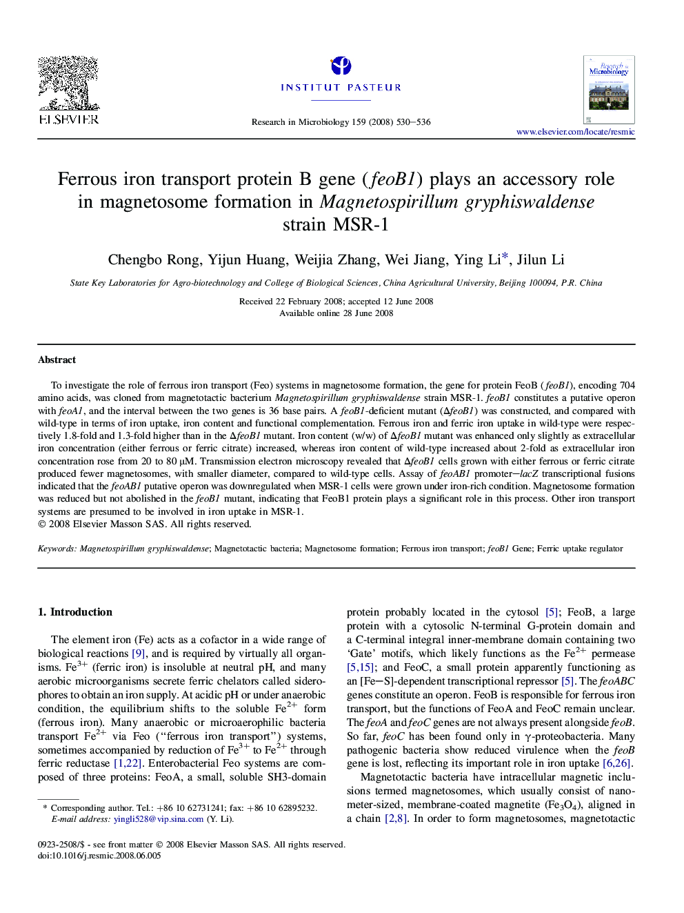 Ferrous iron transport protein B gene (feoB1) plays an accessory role in magnetosome formation in Magnetospirillum gryphiswaldense strain MSR-1