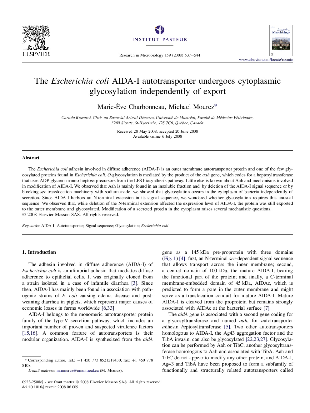 The Escherichia coli AIDA-I autotransporter undergoes cytoplasmic glycosylation independently of export