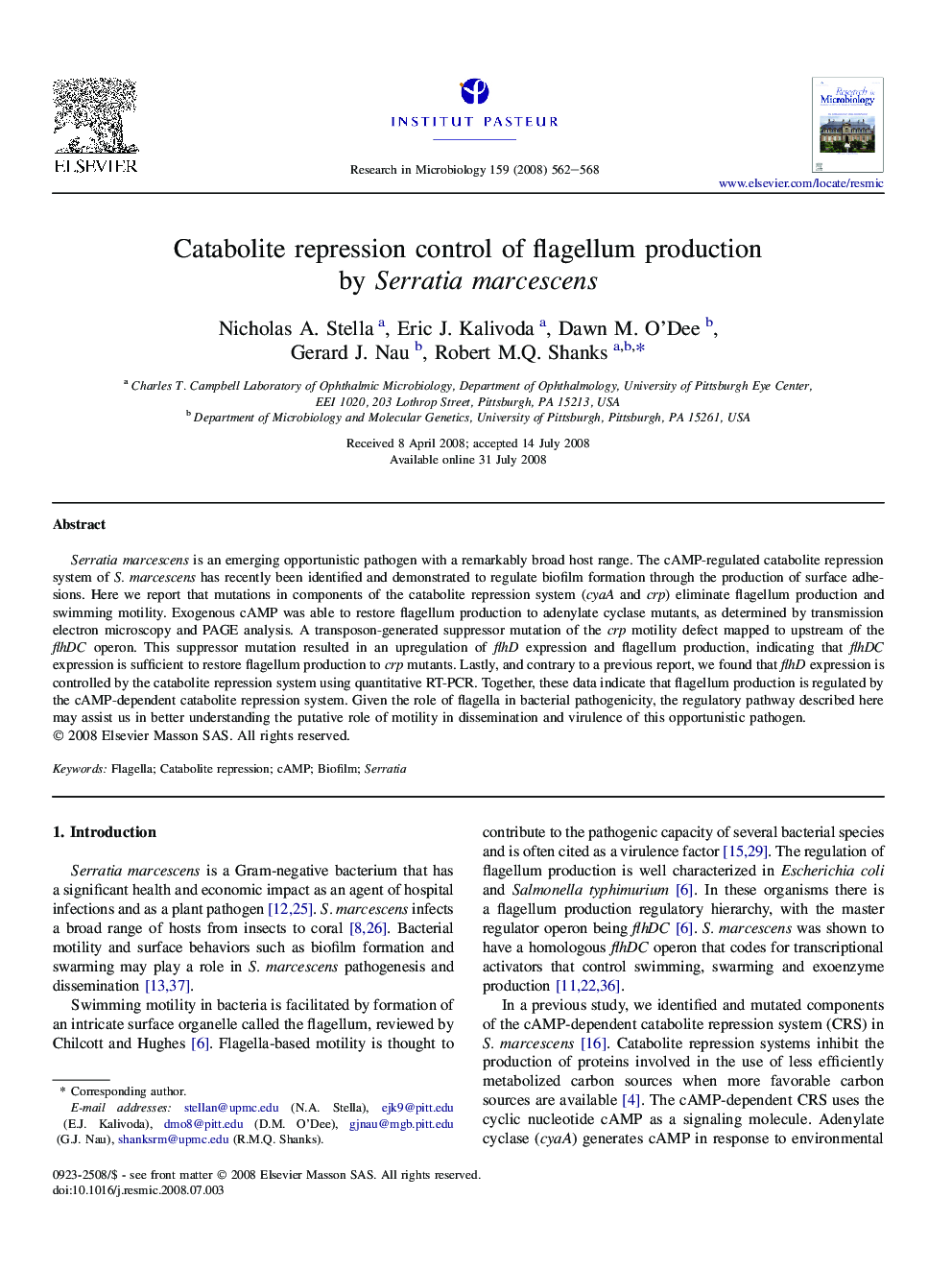 Catabolite repression control of flagellum production by Serratia marcescens