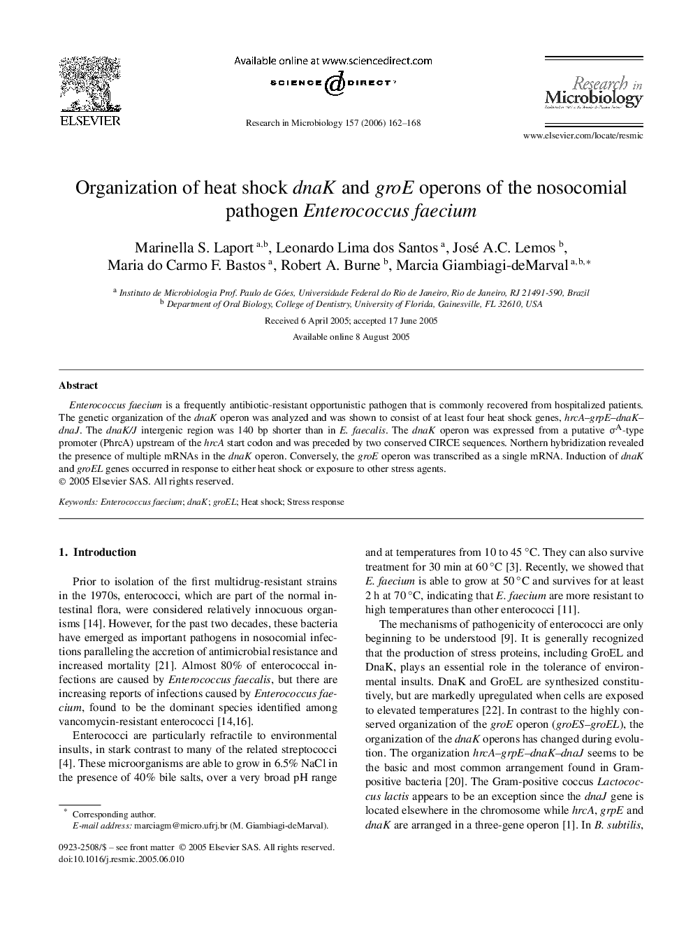 Organization of heat shock dnaK and groE operons of the nosocomial pathogen Enterococcus faecium