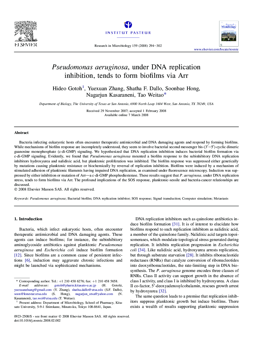 Pseudomonas aeruginosa, under DNA replication inhibition, tends to form biofilms via Arr