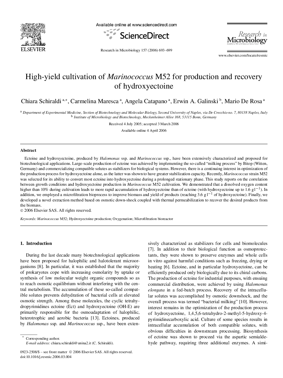 High-yield cultivation of Marinococcus M52 for production and recovery of hydroxyectoine