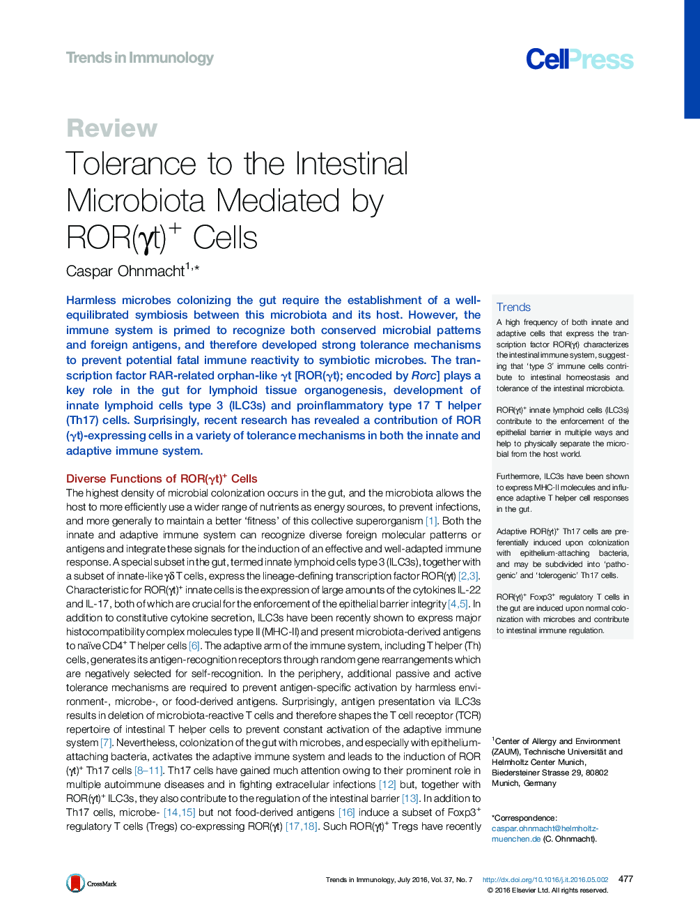 Tolerance to the Intestinal Microbiota Mediated by ROR(γt)+ Cells