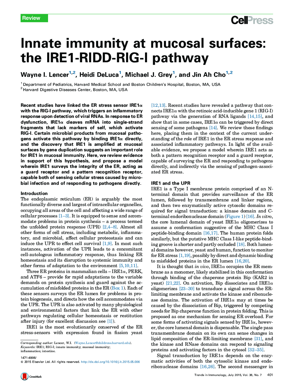 Innate immunity at mucosal surfaces: the IRE1-RIDD-RIG-I pathway