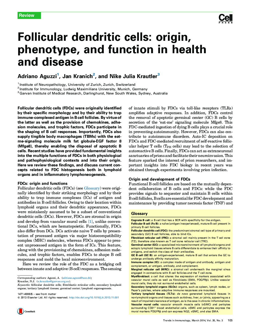 Follicular dendritic cells: origin, phenotype, and function in health and disease