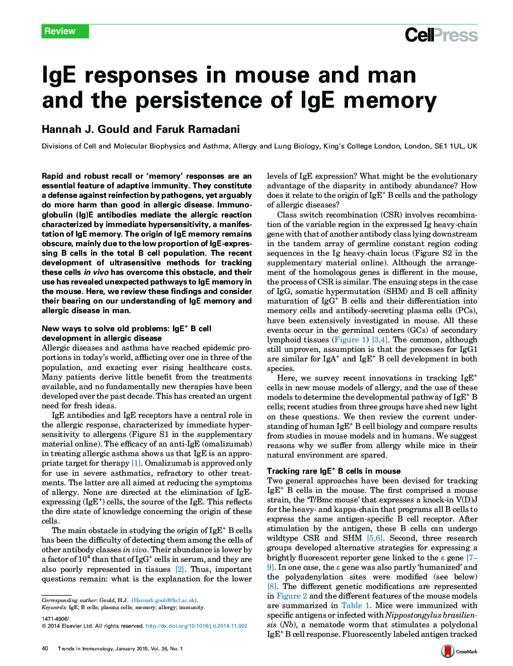 IgE responses in mouse and man and the persistence of IgE memory