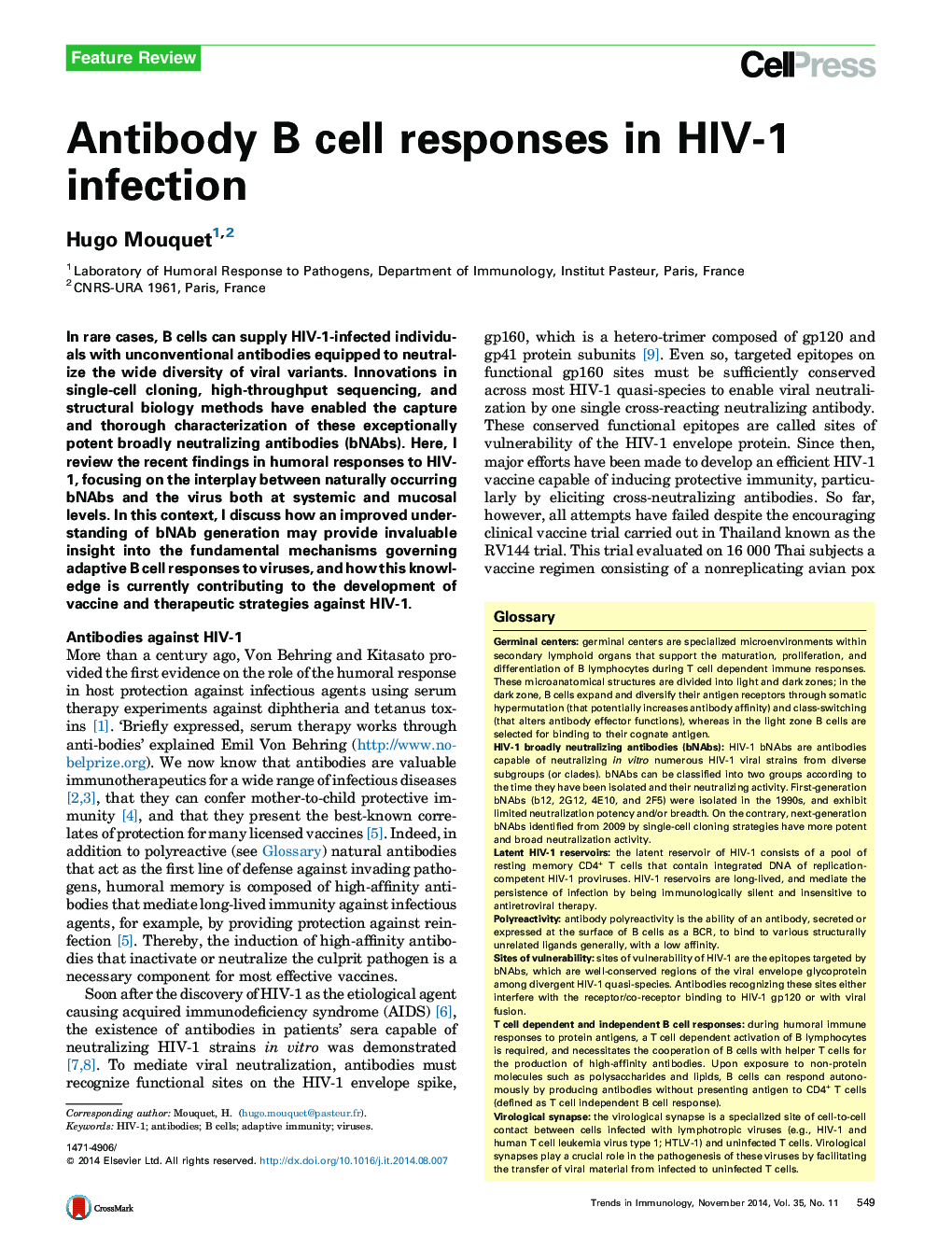 Antibody B cell responses in HIV-1 infection