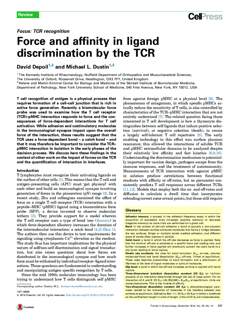 Force and affinity in ligand discrimination by the TCR