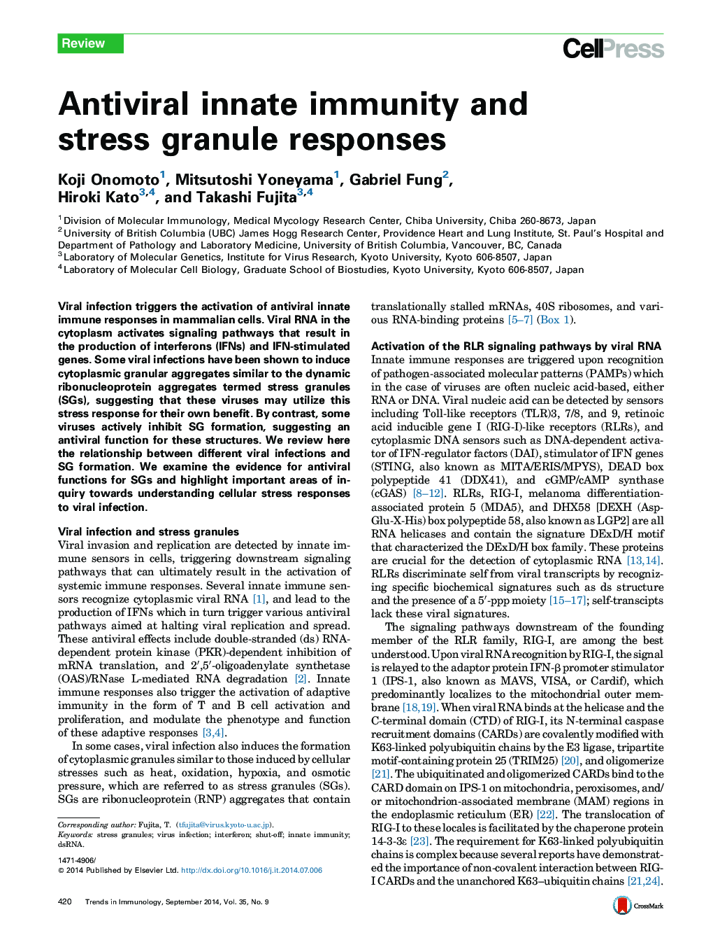 Antiviral innate immunity and stress granule responses