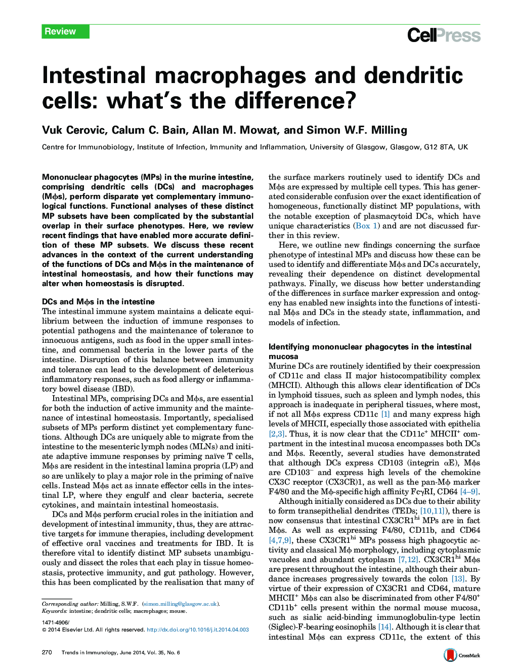 ماکروفاژ روده و سلول های دندریتیک: تفاوت چیست؟ 