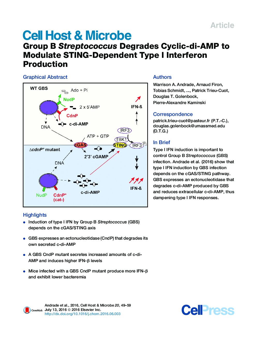 Group B Streptococcus Degrades Cyclic-di-AMP to Modulate STING-Dependent Type I Interferon Production