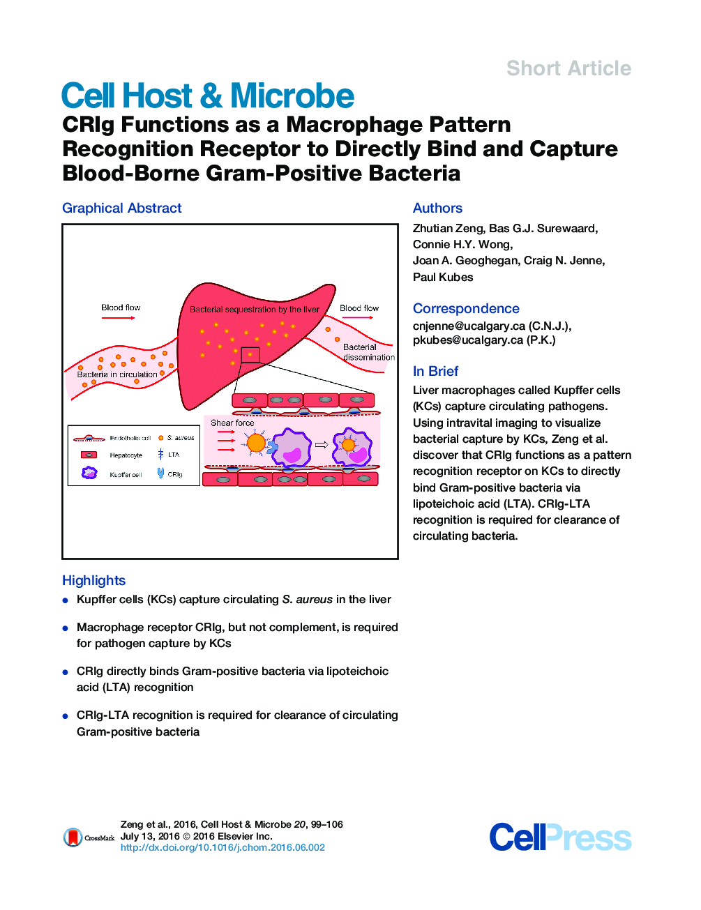 CRIg Functions as a Macrophage Pattern Recognition Receptor to Directly Bind and Capture Blood-Borne Gram-Positive Bacteria