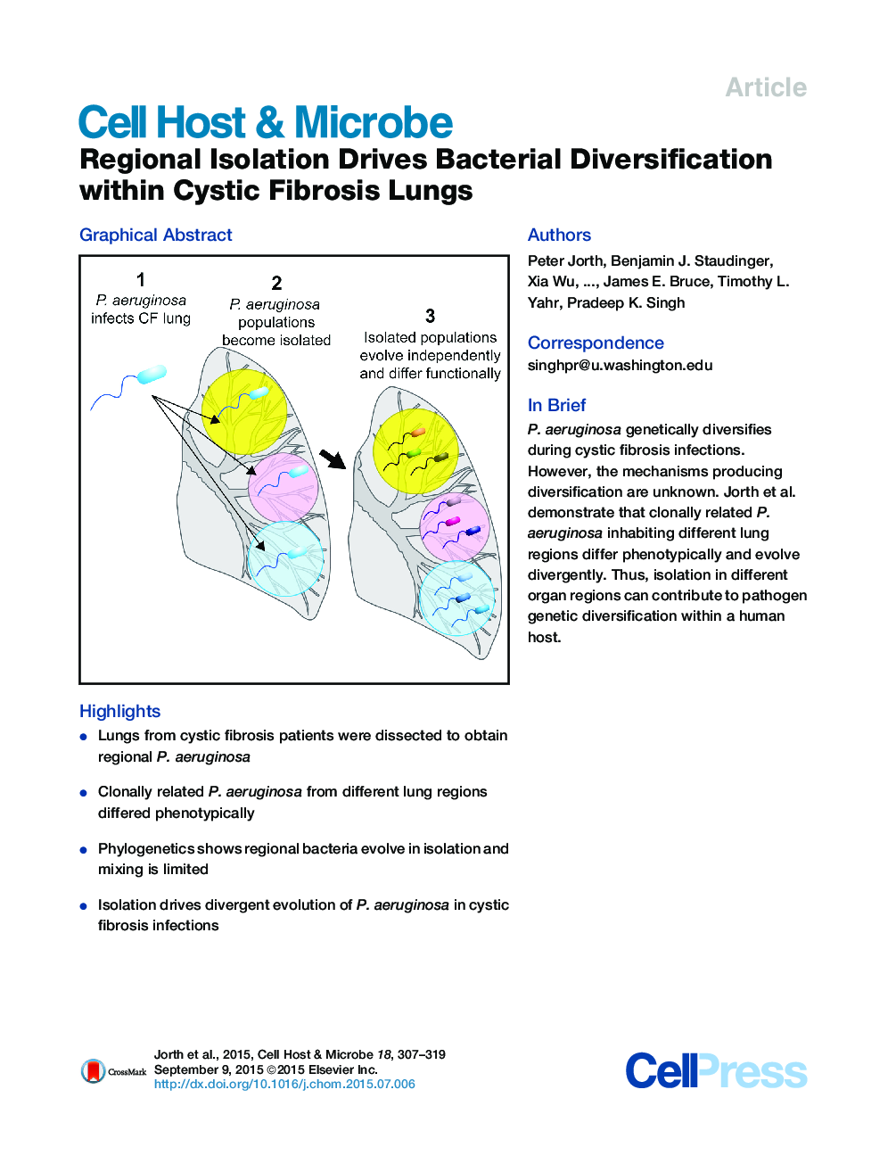 Regional Isolation Drives Bacterial Diversification within Cystic Fibrosis Lungs