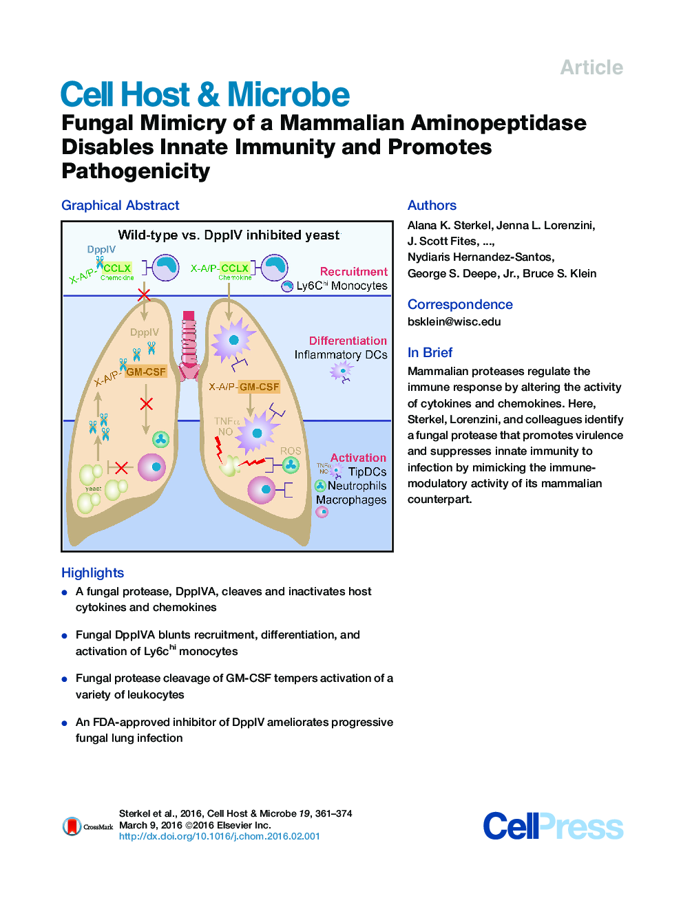 Fungal Mimicry of a Mammalian Aminopeptidase Disables Innate Immunity and Promotes Pathogenicity