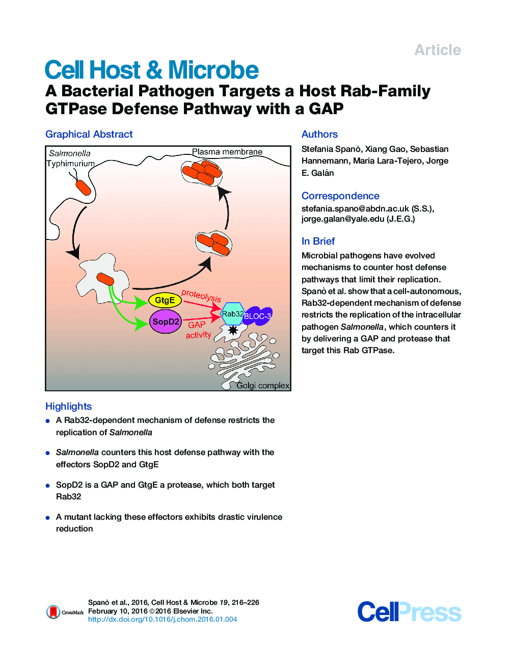 A Bacterial Pathogen Targets a Host Rab-Family GTPase Defense Pathway with a GAP