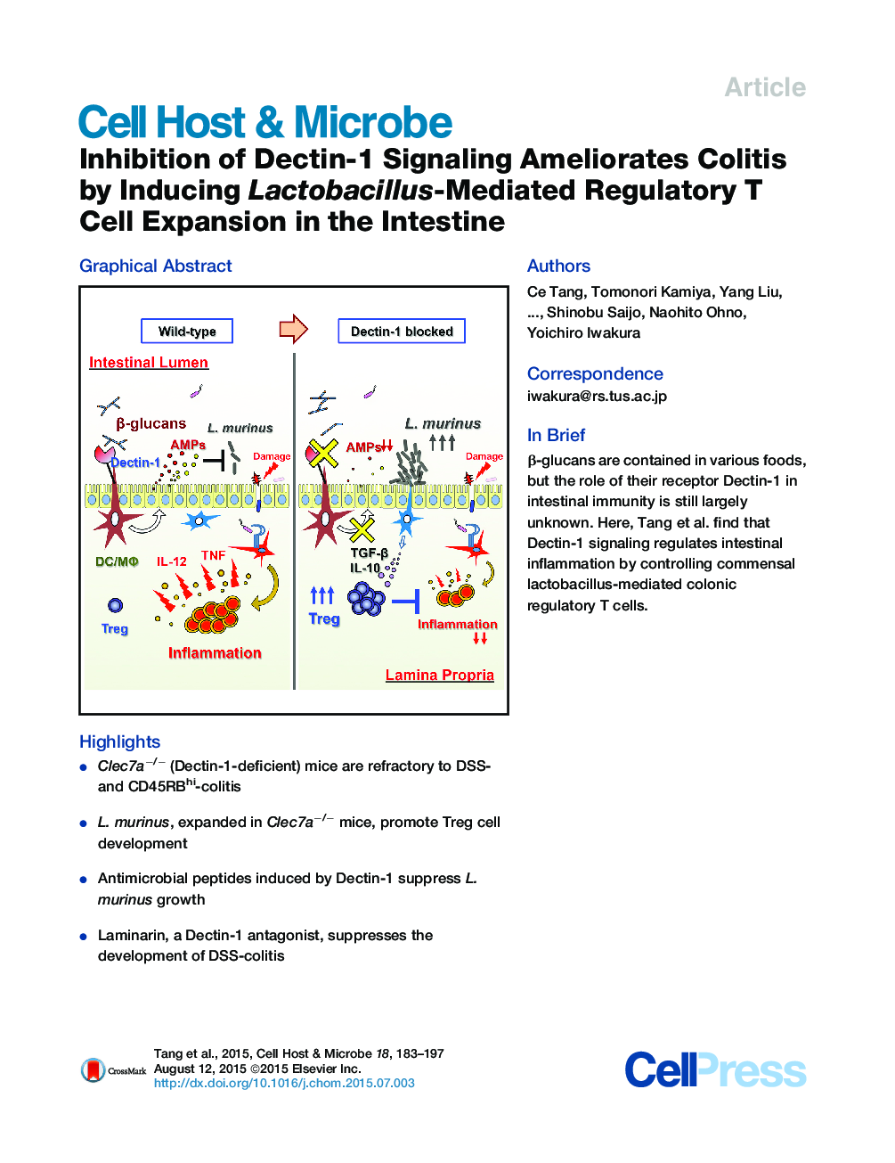 Inhibition of Dectin-1 Signaling Ameliorates Colitis by Inducing Lactobacillus-Mediated Regulatory T Cell Expansion in the Intestine