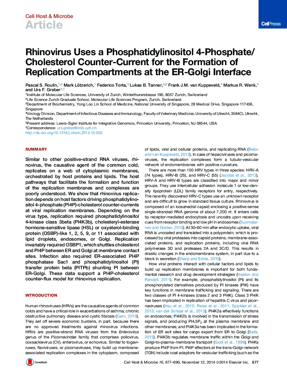 Rhinovirus Uses a Phosphatidylinositol 4-Phosphate/Cholesterol Counter-Current for the Formation of Replication Compartments at the ER-Golgi Interface