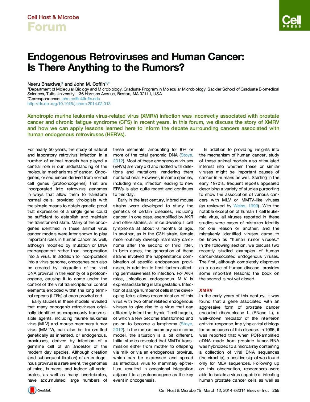 Endogenous Retroviruses and Human Cancer: Is There Anything to the Rumors?