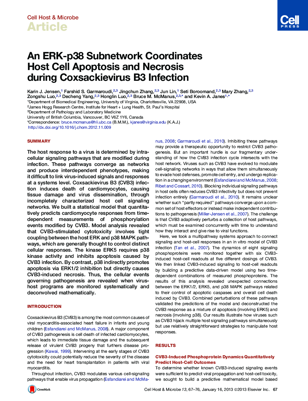 An ERK-p38 Subnetwork Coordinates Host Cell Apoptosis and Necrosis during Coxsackievirus B3 Infection