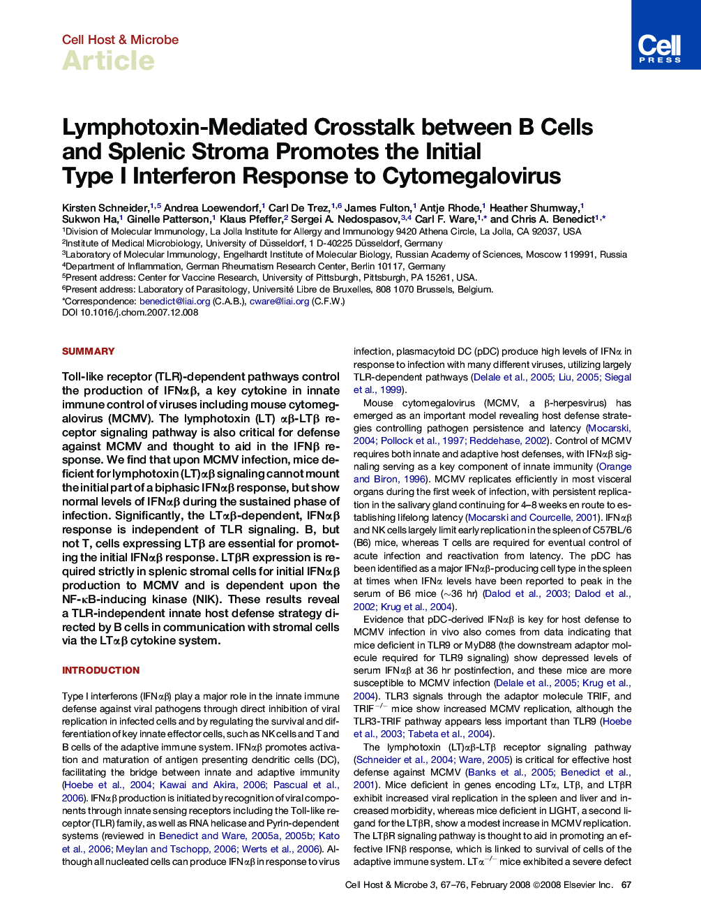 Lymphotoxin-Mediated Crosstalk between B Cells and Splenic Stroma Promotes the Initial Type I Interferon Response to Cytomegalovirus