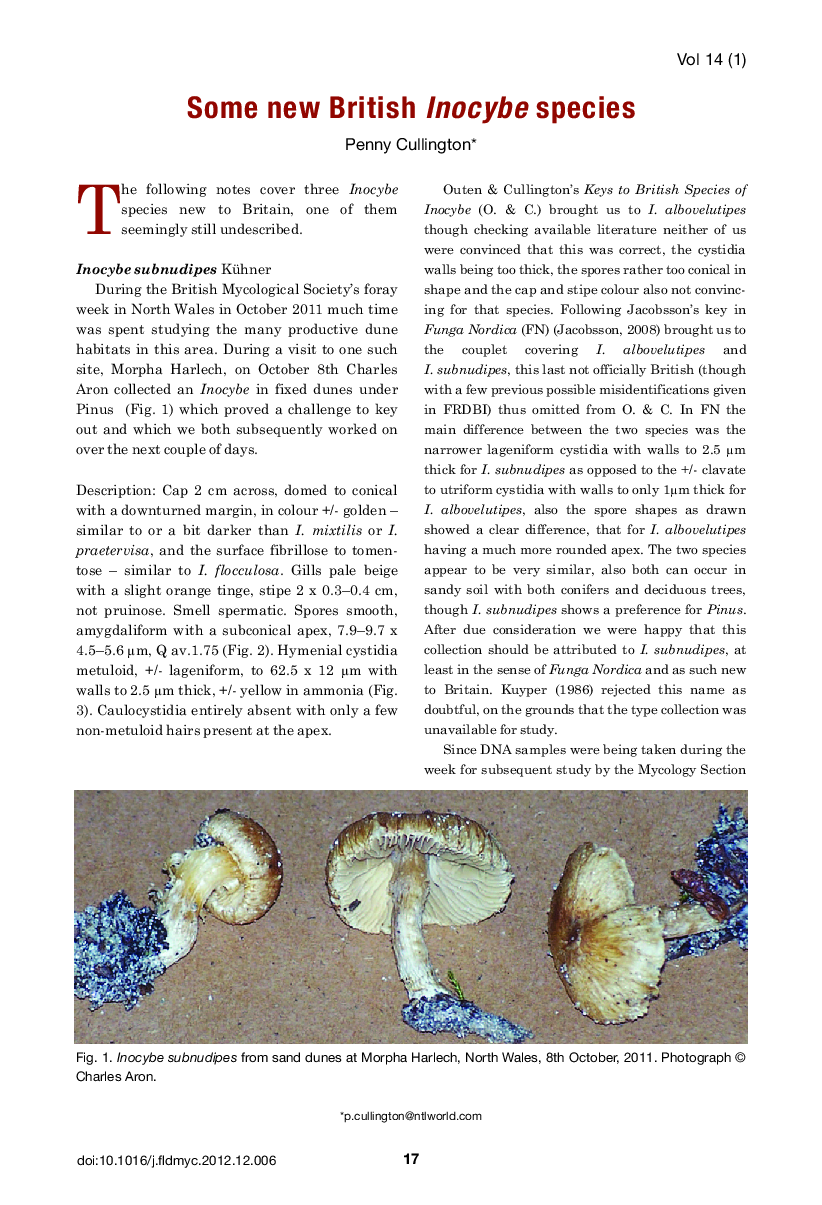 Some new British Inocybe species