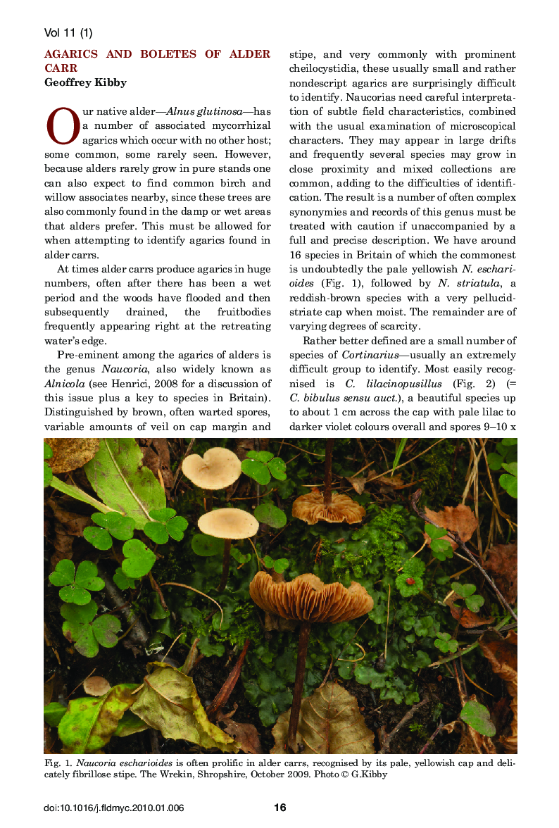 عکس صفحه اول مقاله: Agarics and Boletes of Alder Carr Agarics and Boletes of Alder Carr