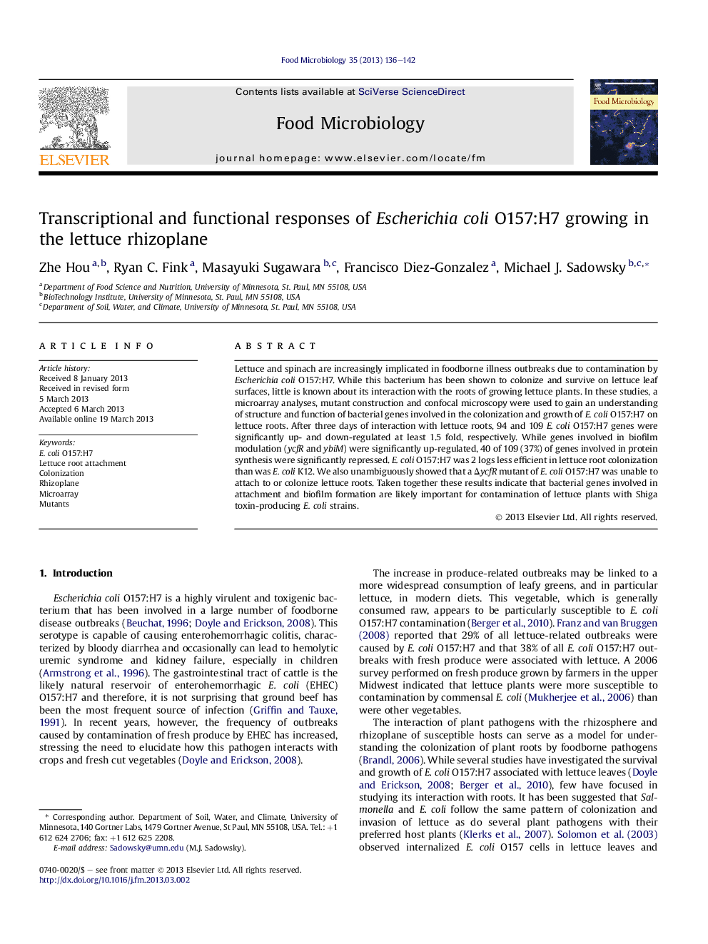 Transcriptional and functional responses of Escherichia coli O157:H7 growing in the lettuce rhizoplane