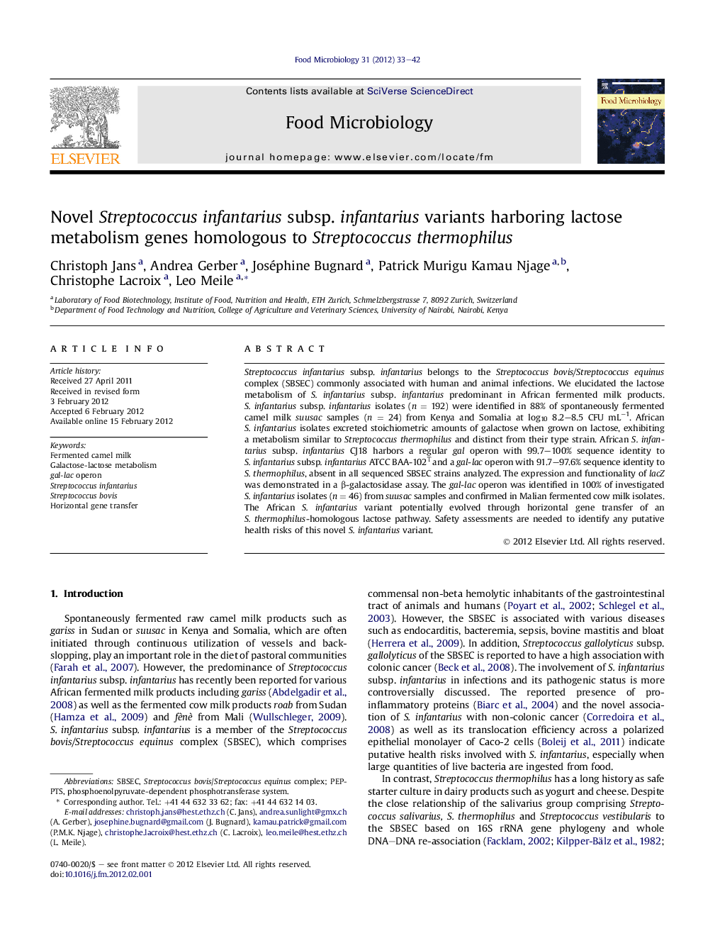 Novel Streptococcus infantarius subsp. infantarius variants harboring lactose metabolism genes homologous to Streptococcus thermophilus