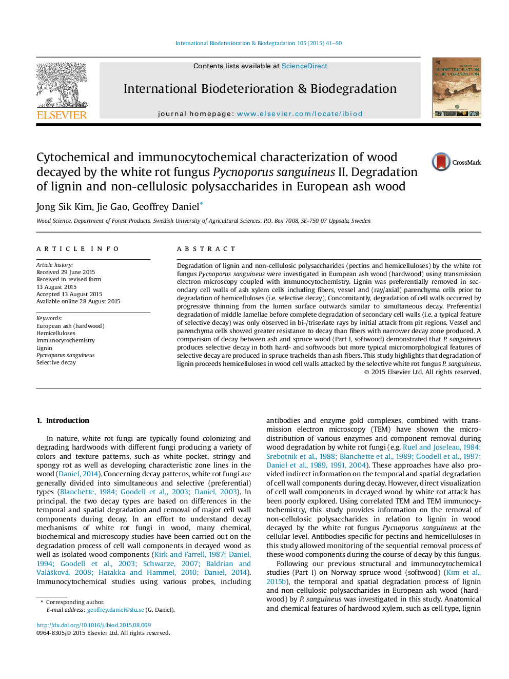 Cytochemical and immunocytochemical characterization of wood decayed by the white rot fungus Pycnoporus sanguineus II. Degradation of lignin and non-cellulosic polysaccharides in European ash wood