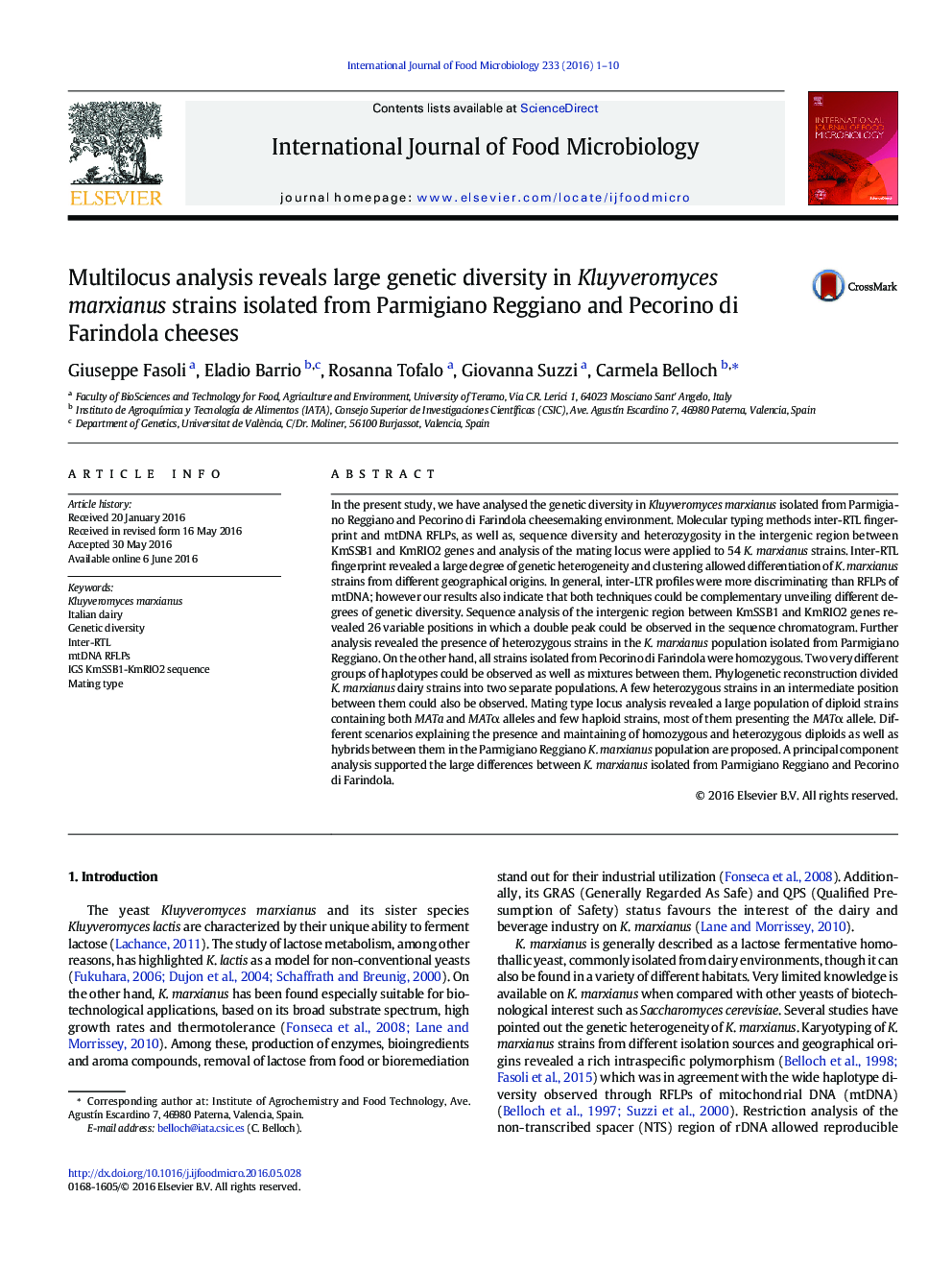 Multilocus analysis reveals large genetic diversity in Kluyveromyces marxianus strains isolated from Parmigiano Reggiano and Pecorino di Farindola cheeses