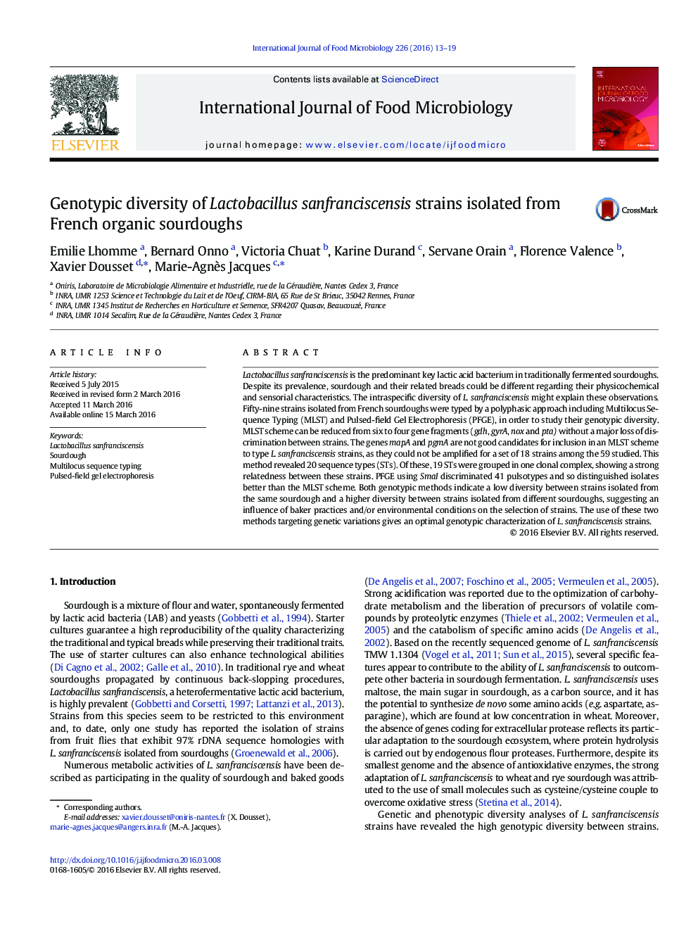 Genotypic diversity of Lactobacillus sanfranciscensis strains isolated from French organic sourdoughs