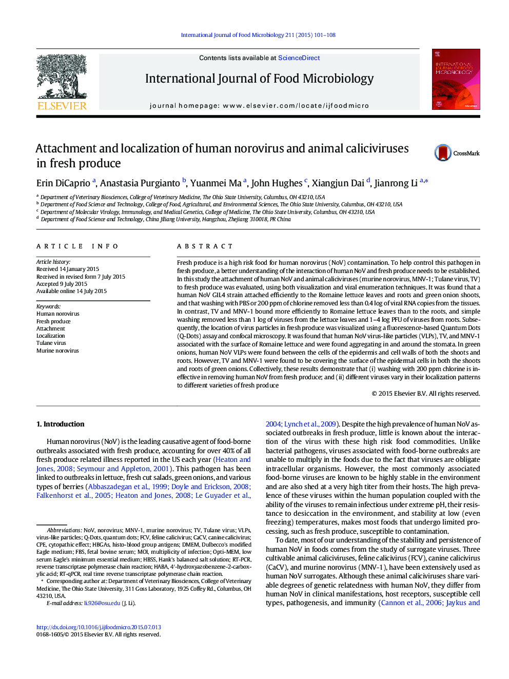 Attachment and localization of human norovirus and animal caliciviruses in fresh produce