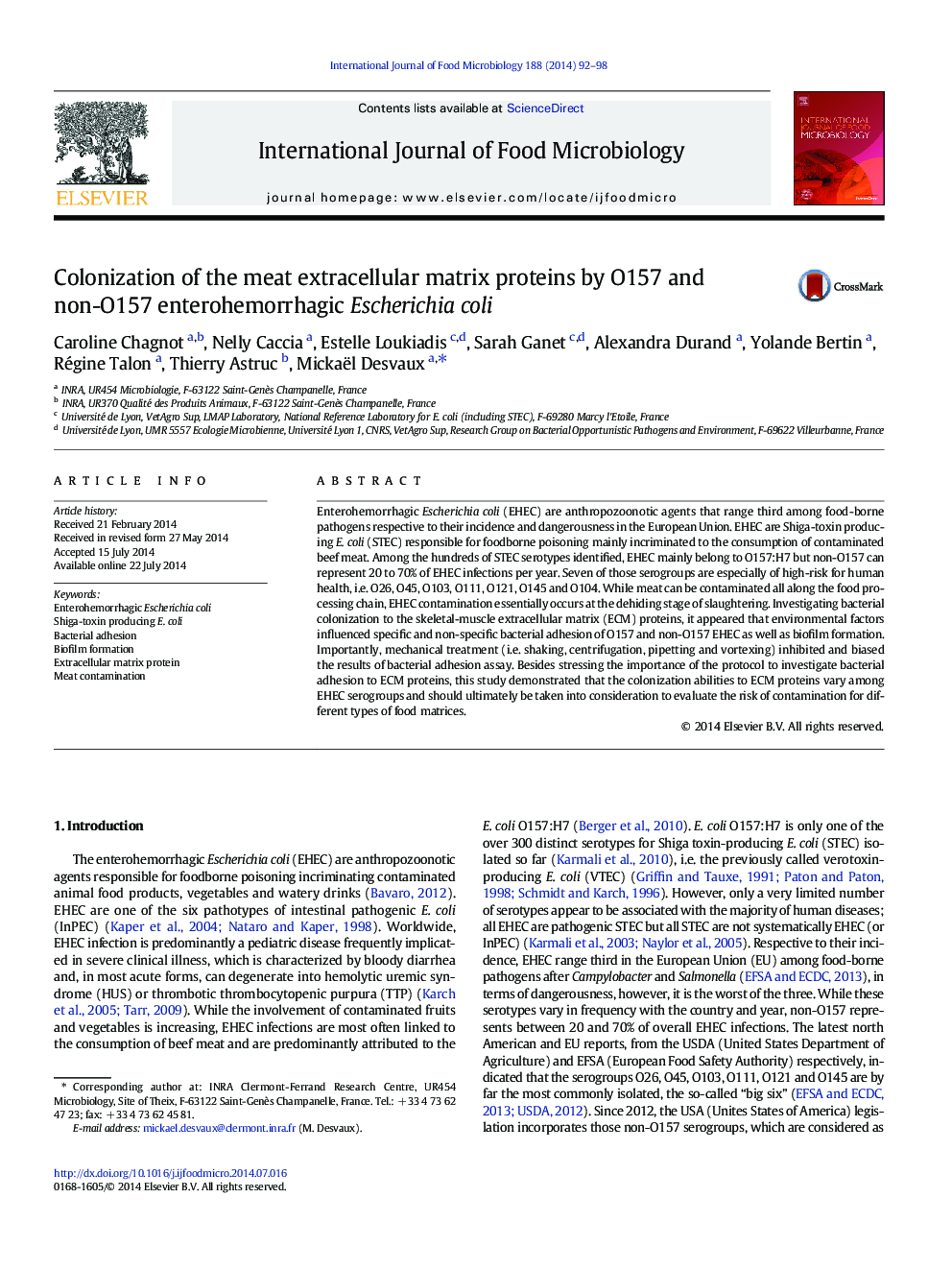 Colonization of the meat extracellular matrix proteins by O157 and non-O157 enterohemorrhagic Escherichia coli