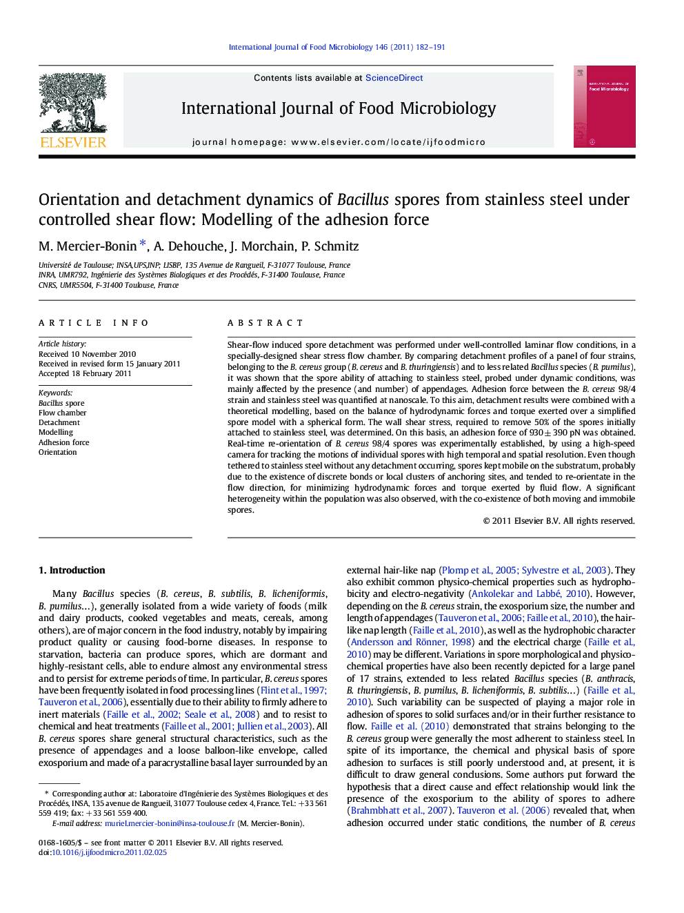 Orientation and detachment dynamics of Bacillus spores from stainless steel under controlled shear flow: Modelling of the adhesion force