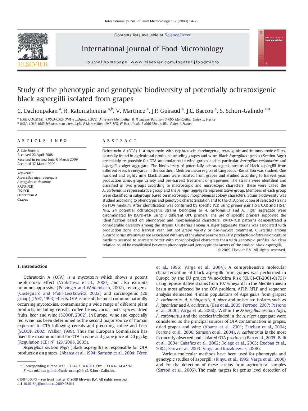 Study of the phenotypic and genotypic biodiversity of potentially ochratoxigenic black aspergilli isolated from grapes