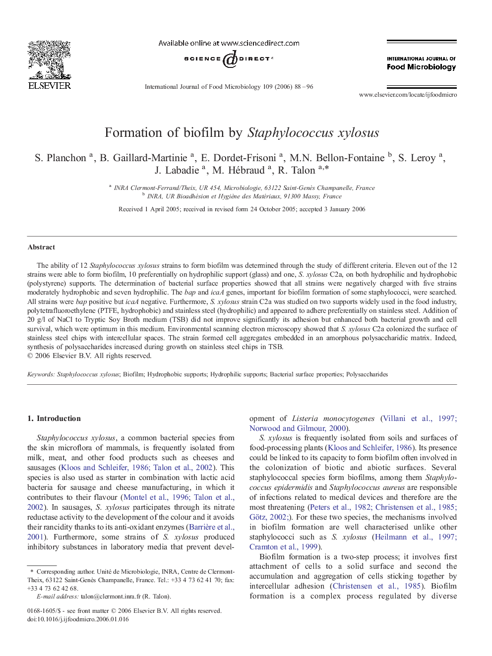Formation of biofilm by Staphylococcus xylosus