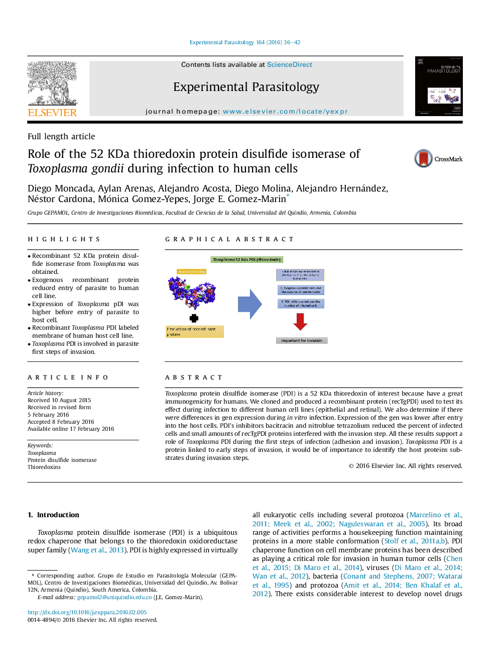 Role of the 52 KDa thioredoxin protein disulfide isomerase of Toxoplasma gondii during infection to human cells