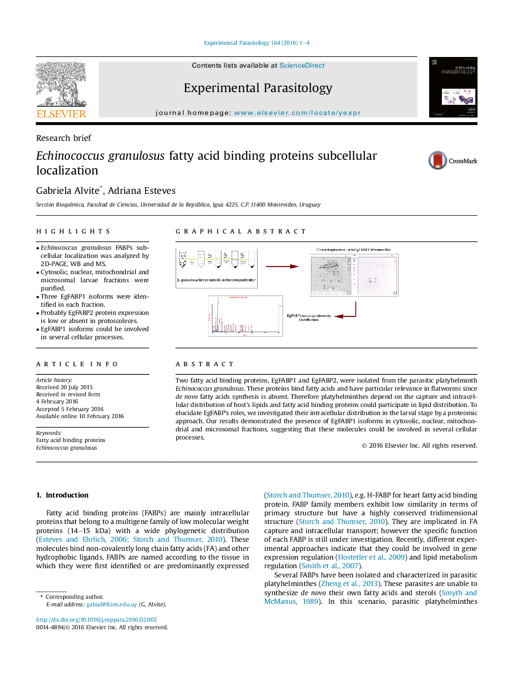 Echinococcus granulosus fatty acid binding proteins subcellular localization