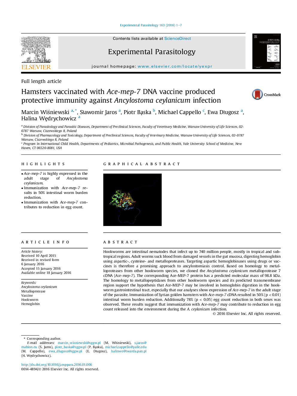 Hamsters vaccinated with Ace-mep-7 DNA vaccine produced protective immunity against Ancylostoma ceylanicum infection